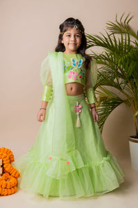 Green Butterfly Ghagra