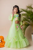 Green Butterfly Ghagra