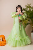 Green Butterfly Ghagra