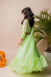 Green Butterfly Ghagra