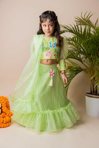 Green Butterfly Ghagra