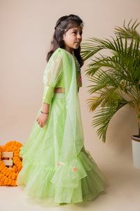 Green Butterfly Ghagra