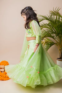 Green Butterfly Ghagra