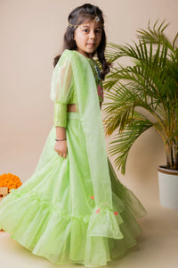 Green Butterfly Ghagra