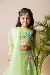 Green Butterfly Ghagra