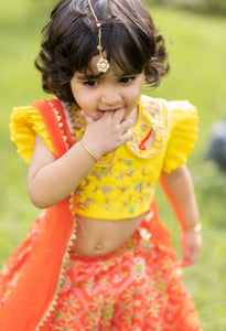 Orange Ikkat Ghagra Set