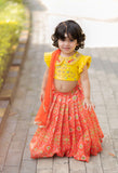 Orange Ikkat Ghagra Set