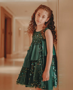 Hand Embroidered Green Tulle Dress