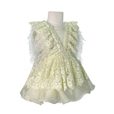 The Feather Fairy Dress