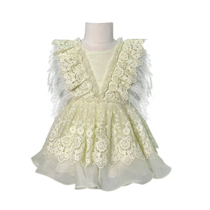 The Feather Fairy Dress