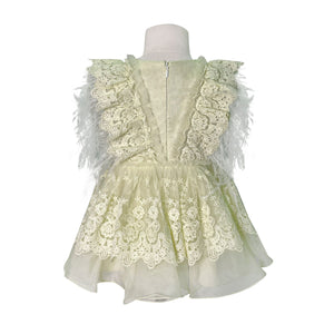 The Feather Fairy Dress