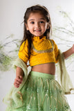 Yellow Chikankari Blouse With Green Heavy Lehenga Set