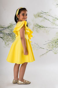 Yellow Butterfly Embroidered Dress