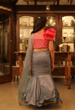 Masarrat- Embroidered Blouse & Silk Organza Draped Saree With Skirt For Girls