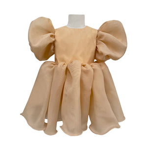 The Alaia Organza Dress